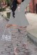 Grey Elegant Letter Ripped Turn-back Collar Long Sleeve Two Pieces