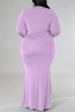 Light Purple Casual Solid Patchwork V Neck Long Sleeve Plus Size Dresses