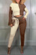 Coffee Casual Sportswear Solid Patchwork Hooded Collar Long Sleeve Two Pieces