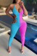 Blue Sexy Patchwork Hollowed Out Halter Skinny Jumpsuits