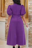 Purple Celebrities Elegant Solid Bandage Patchwork Straight Dresses