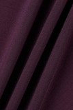 Purple Casual Solid Patchwork V Neck Long Sleeve Two Pieces