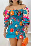 Blue Casual Print Patchwork Off the Shoulder Long Sleeve Dresses