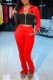 Red Casual Print Patchwork Letter Turndown Collar Long Sleeve Two Pieces