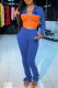 Blue Casual Letter Print Patchwork Zipper Collar Long Sleeve Two Pieces