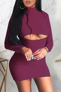 Rose Purple Sexy Casual Solid Hollowed Out Turtleneck Long Sleeve Dresses