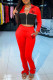 Red Casual Letter Print Patchwork Zipper Collar Long Sleeve Two Pieces