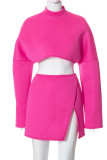 Pink Casual Solid Patchwork Half A Turtleneck Long Sleeve Two Pieces