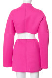 Pink Casual Solid Patchwork Half A Turtleneck Long Sleeve Two Pieces