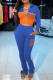 Blue Casual Letter Print Patchwork Zipper Collar Long Sleeve Two Pieces