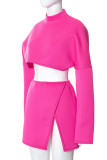 Pink Casual Solid Patchwork Half A Turtleneck Long Sleeve Two Pieces
