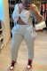 Light Gray Casual Solid Patchwork With Bow V Neck Long Sleeve Two Pieces