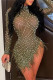 Green Sexy Patchwork Hot Drilling See-through Feathers Beading Asymmetrical Half A Turtleneck Long Sleeve Dresses