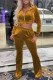 Gold Casual Daily Solid Patchwork Hooded Collar Long Sleeve Two Pieces