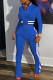 Blue Casual Solid Patchwork Zipper Long Sleeve Two Pieces