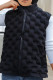 Black Casual Solid Patchwork Mandarin Collar Outerwear