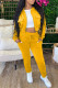 Yellow Casual Solid Patchwork Zipper Collar Long Sleeve Two Pieces