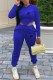 Royal Blue Sweet Print Letter Hooded Collar Long Sleeve Two Pieces