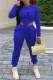 Royal Blue Sportswear Print Letter Hooded Collar Long Sleeve Two Pieces