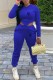 Royal Blue Casual Print Letter Hooded Collar Long Sleeve Two Pieces