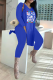 Blue Vintage Print High Opening V Neck Long Sleeve Two Pieces