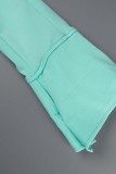 Light Green Casual Solid Patchwork Asymmetrical Turndown Collar Long Sleeve Dresses