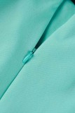 Light Green Casual Solid Patchwork Asymmetrical Turndown Collar Long Sleeve Dresses