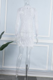 Pink Sexy Patchwork Hot Drilling See-through Feathers Beading Asymmetrical Half A Turtleneck Long Sleeve Dresses