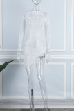 Pink Sexy Patchwork Hot Drilling See-through Feathers Beading Asymmetrical Half A Turtleneck Long Sleeve Dresses