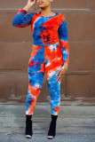 Blue Casual Print Patchwork O Neck Long Sleeve Two Pieces