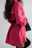 Black Casual Solid Patchwork Buckle With Belt Turndown Collar Shirt Dress Dresses
