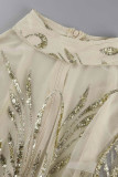 Silver Sexy Patchwork Sequins See-through Half A Turtleneck Long Sleeve Dresses