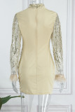 Silver Sexy Patchwork Sequins See-through Half A Turtleneck Long Sleeve Dresses