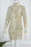 Silver Sexy Patchwork Sequins See-through Half A Turtleneck Long Sleeve Dresses