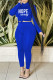 Blue Casual Print Patchwork Turtleneck Long Sleeve Two Pieces