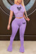 Purple Sexy Casual Letter Print Patchwork See-through O Neck Short Sleeve Two Pieces
