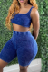 Royal Blue Sexy Solid Patchwork U Neck Sleeveless Two Pieces