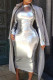 Silver Sexy Solid Patchwork Half A Turtleneck One Step Skirt Dresses