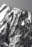 Silver Casual Solid Patchwork Slit Regular High Waist Skirt