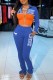 Blue Casual Print Letter Zipper Collar Long Sleeve Two Pieces