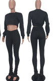 Black Casual Solid Patchwork O Neck Long Sleeve Two Pieces
