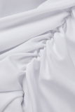 White Sexy Solid Mesh O Neck Long Sleeve Two Pieces