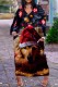 Gold Casual Print Basic V Neck Long Sleeve Dresses