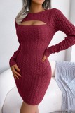Purple Casual Solid Hollowed Out Patchwork O Neck Long Sleeve Dresses