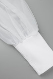White Elegant Solid Patchwork Feathers O Neck Evening Dress Dresses