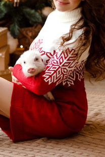 Red Casual Patchwork Turtleneck Straight Dresses