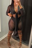 Black Sexy Solid See-through V Neck Long Sleeve Four Piece Set