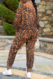 Leopard Print Casual Print Basic V Neck Long Sleeve Two Pieces