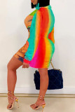 Colour Casual Print Patchwork Zipper Collar Straight Dresses