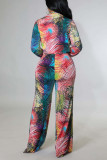 Multicolor Sexy Print Bandage Patchwork V Neck Long Sleeve Two Pieces